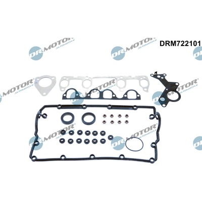 DR.MOTOR AUTOMOTIVE Sada tesnení, Hlava valcov DRM722101