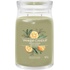 Yankee Candle Signature Sage & Citrus 567 g