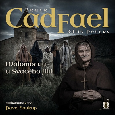 Případy bratra Cadfaela:Malomocný - Peters Ellis