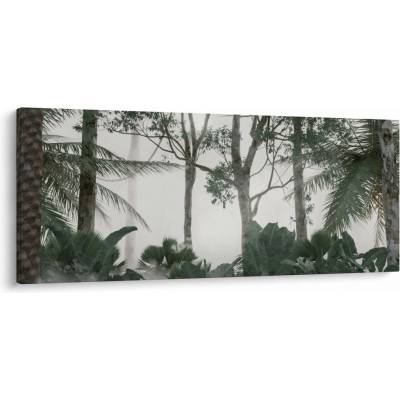 Obraz - Jungle v rannej hmle, jednodielne 120x50 cm