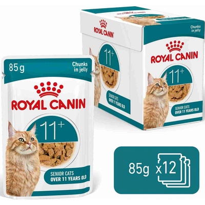 Royal Canin FHN Cat Ageing 11+ Jelly 12 x 85 g