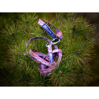 Non-stop dogwear Trail quest leash Rachel Pohl LTD