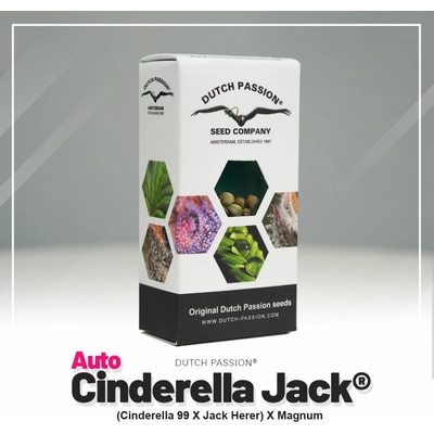 Dutch Passion AUTO Cinderella Jack semienka neobsahujú THC 7 ks