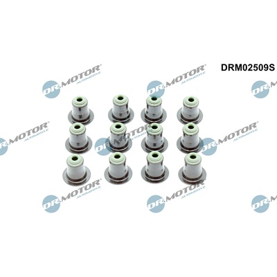 DR.MOTOR AUTOMOTIVE Sada tesnení drieku ventilu DRM02509S