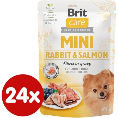 Brit Care Mini Rabbit & Salmon 24 x 85 g