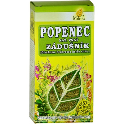 Milota Popenec břečťanovitý nať Glechoma hederacea herba cons 50 g – Hledejceny.cz