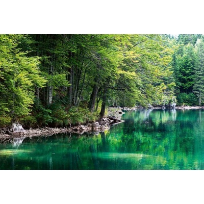 Dimex MS-5-3063 Vliesová fototapeta Jezero a les rozměry 375 x 250 cm