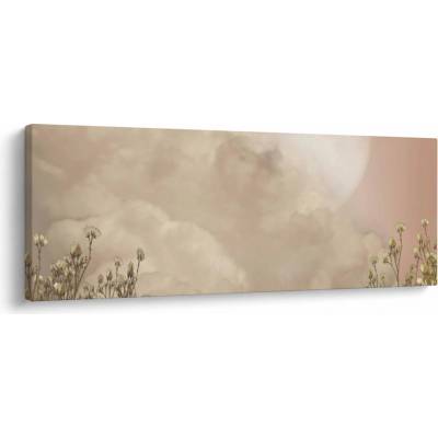 Obraz - Růžový úplněk, jednodílný 100x40 cm