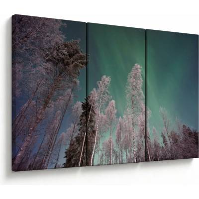 Obraz polárna žiara nad zamrznutými stromami, trojdielne 120x80 cm