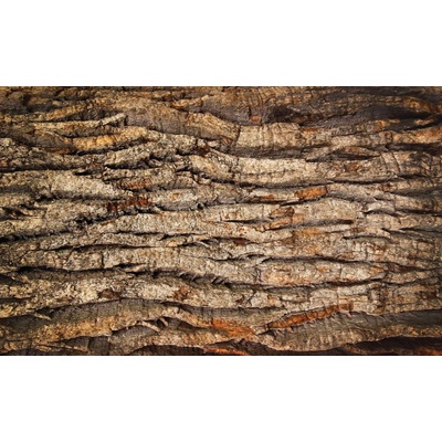 Preinterier FT3670 Fototapeta na stenu Drevená kôra vlies 104cm x 70cm