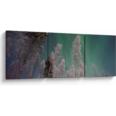Obraz polárna žiara nad zamrznutými stromami, trojdielne 120x40 cm