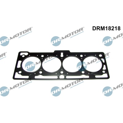 DR.MOTOR AUTOMOTIVE Tesnenie hlavy valcov DRM18218