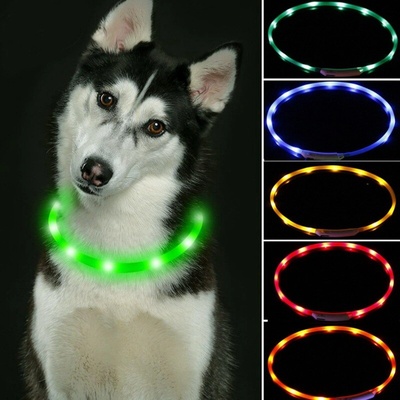 Reedog Easy Light svítící obojek pro psy
