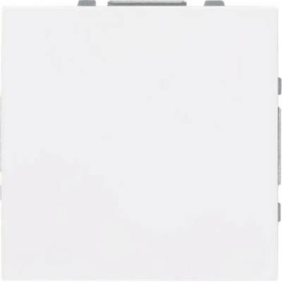 Busch-Jaeger 2CKA001710A4212