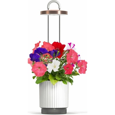 Smart Garden 1 Hydrovase, biela PCW-113