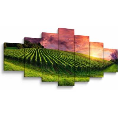 Obraz vinice s farebným nebom, sedemdielne 210x100 cm
