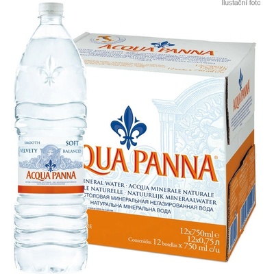 Acqua Panna PET 24 x 0,5 l
