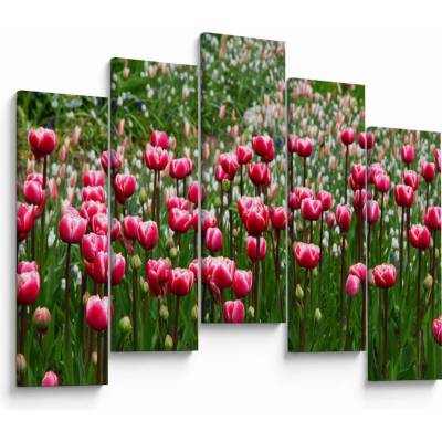 Obraz tulipánů, pětidílný 125x90 cm
