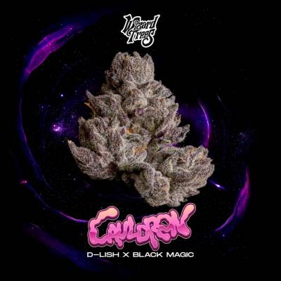 Wizard Trees Cauldron semienka neobsahujú THC 3 ks