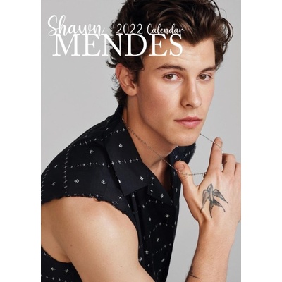 Shawn Mendes A3 2022
