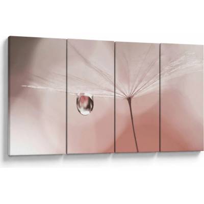 Obraz - Kapka rosy, Čtyřdílný 160x80 cm