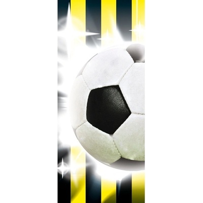 Preinterier DV0196 Fototapeta na stenu Futbalová lopta vlies 91cm x 211cm