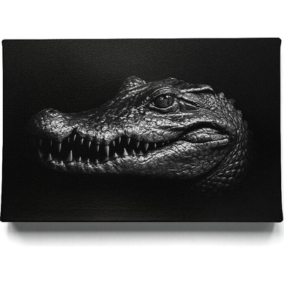 KRAFTHOUSE.EU Krokodýl – Luxusní obraz na plátno Premium Canvas | 100% bavlna | Různé rozměry Velikost: 70 x 50 cm Realistický černobílý obraz Krokodýla