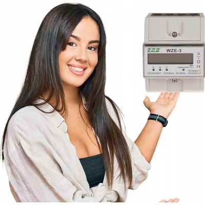 Elektromer F&F WZE-3 MID