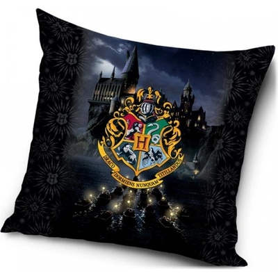 Carbotex Vankúš Harry Potter motív Na loďkách do Rokfortu 40x40