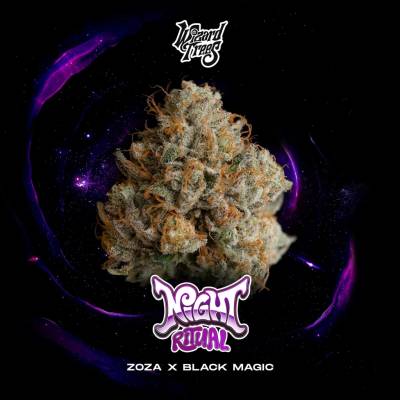 Wizard Trees Night Ritual semienka neobsahujú THC 3 ks