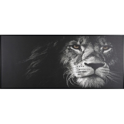 Obraz v rámu Shadow Animal 59 x 134 cm