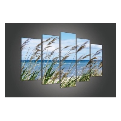 Obraz na plátne viacdielny - OB3448 - Klasy 100cm x 60cm - S17