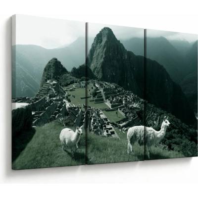Obraz - Lamy na Machu Picchu v Peru, trojdielne 120x80 cm
