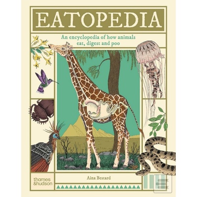 Eatopedia - Aina Bestard