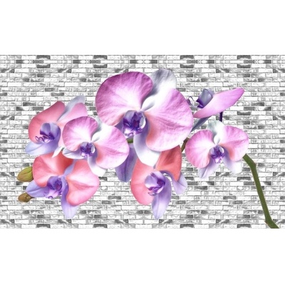 Preinterier FT2964 Fototapeta na stenu Bielo ružové kvety vlies 104cm x 70cm