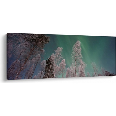 Obraz polární záře nad zmrzlými stromy, jednodílný 145x58 cm
