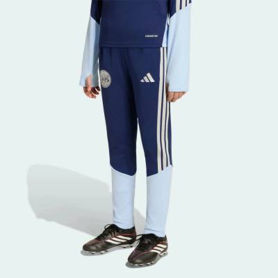 adidas Dětské tréninkové kalhoty Ajax Amsterdam 26/27 Tiro26 modrá – Hledejceny.cz