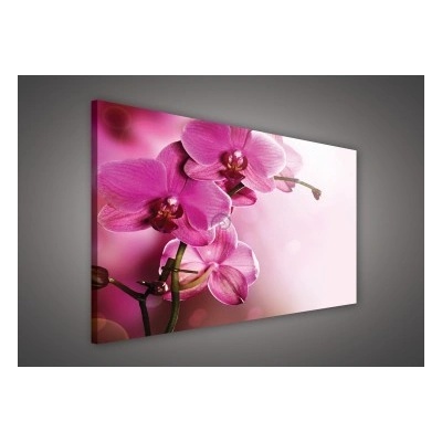 Obraz na plátne obdĺžník - OB1078 - Ružové kvety 100cm x 75cm - O1