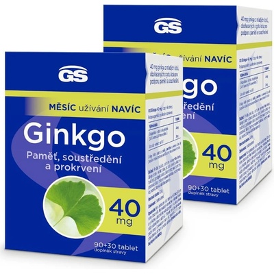 GS Ginkgo 40 mg 2 x 120 tablet