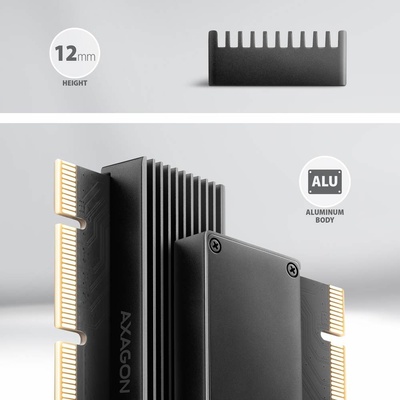 Axagon PCEM2-XS