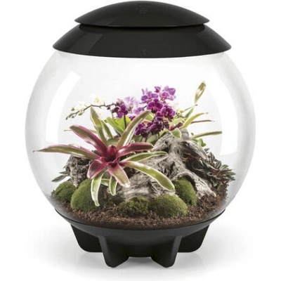 Oase biOrb Air 60 black 60 l 72557