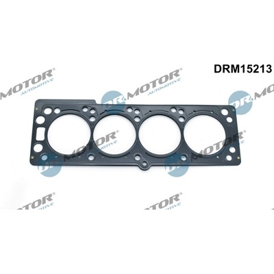 DR.MOTOR AUTOMOTIVE Tesnenie hlavy valcov DRM15213