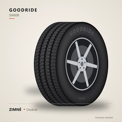 Goodride SW608 205/40 R17 84V