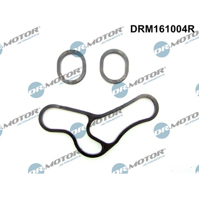 Sada těsnění, chladič oleje Dr.Motor Automotive DRM161004R