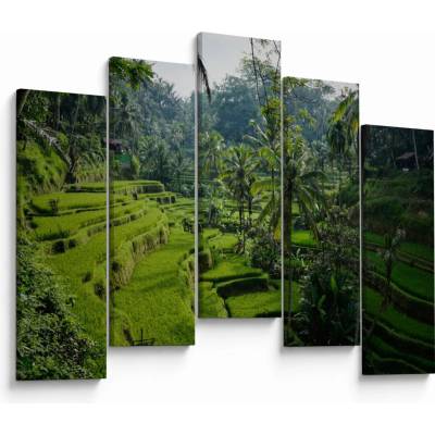 Obraz rýžových teras Tegalalang, Bali, pětidílný 125x90 cm