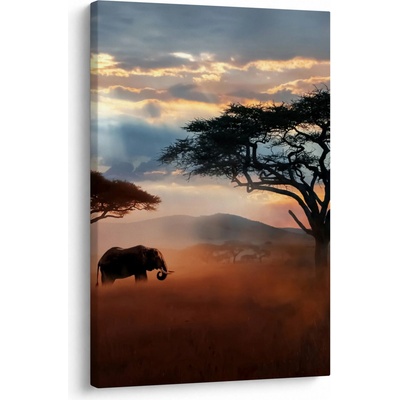 Obraz - Národný park Serengeti, Tanzánia, Afrika, jednodielny 60x90 cm
