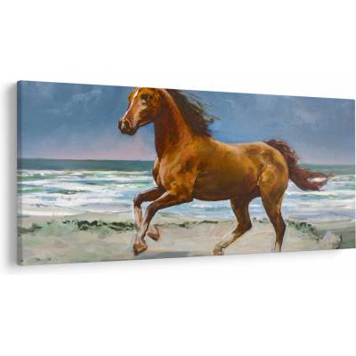 Obraz koňa na pláži, jednodielne 250x125 cm