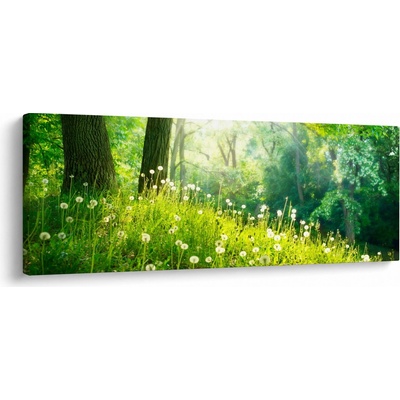 Obraz - Magická louka plná pampelišek, jednodílný 145x58 cm