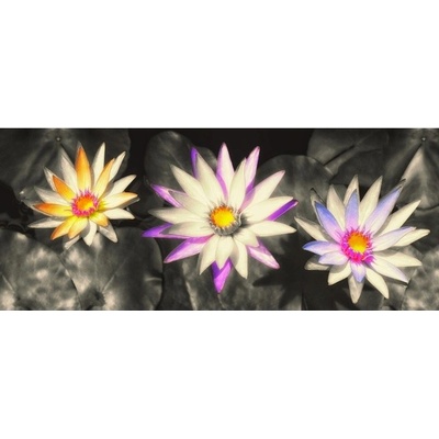 Preinterier FT2968 Fototapeta na stenu Abstraktné lekná vlies 250cm x 104cm