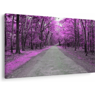 Obraz - Cesta parkem, jednodílný 120x80 cm